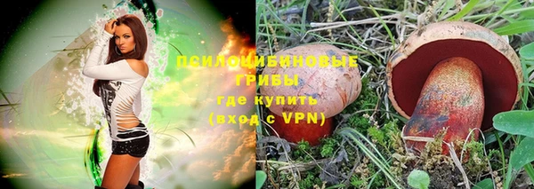 а пвп мука Новодвинск