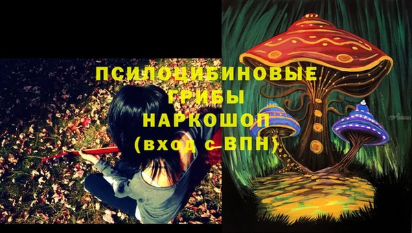 каннабис Аркадак
