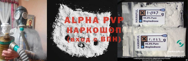 PSILOCYBIN Новозыбков