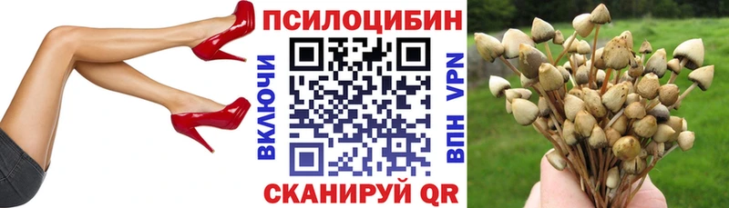 Галлюциногенные грибы прущие грибы  где продают   Катав-Ивановск 
